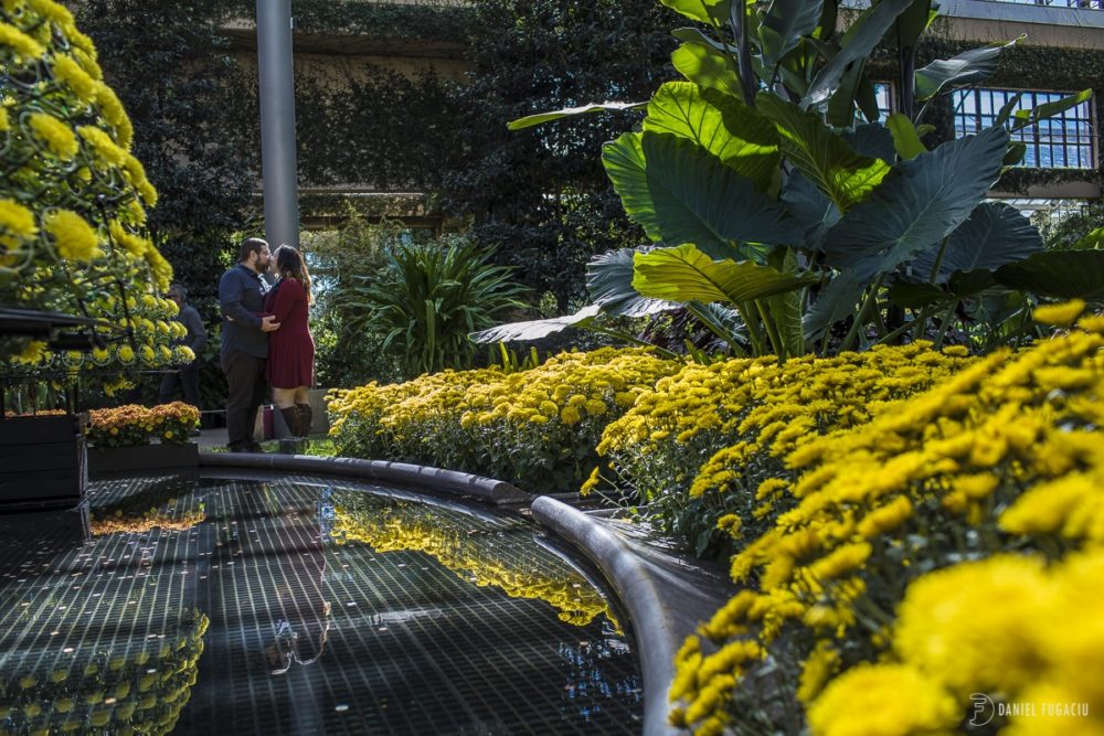 Longwood Gardens engagement