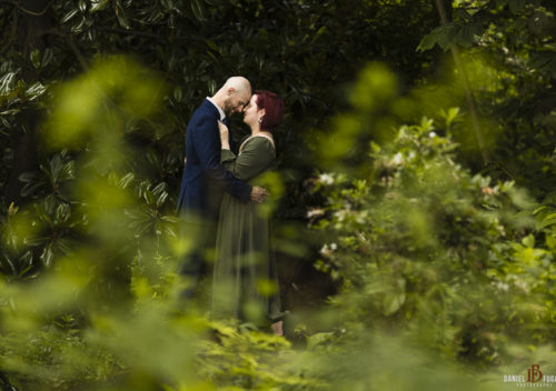 Jenkins Arboretum Engagement